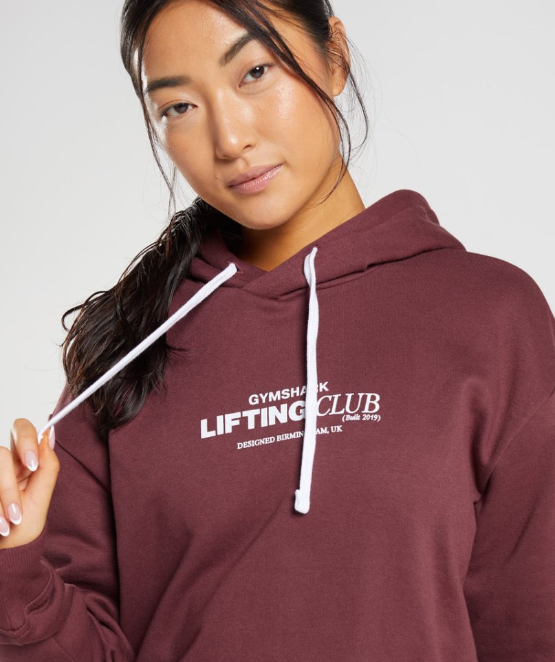 Bluzy Z Kapturem Gymshark Social Club Oversized Damskie Brązowe | PL 510SVA